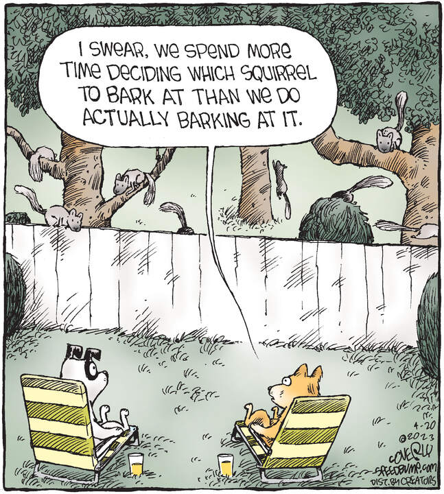 Speed Bump for Apr 20, 2023