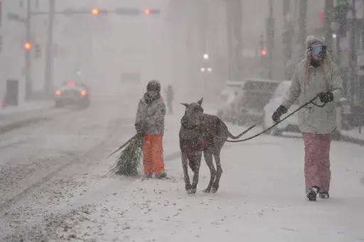 Kristyn Tramel walks her dog Bluey with her 8-year-old son Penn in the French Quarter is seen in New Orleans, Tuesday, Jan. 21, 2025. (AP Photo/Gerald Herbert)