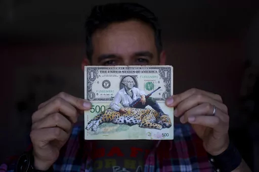 Artist Sergio Díaz holds up a piece of his Money Art; the backdrop a U.S. dollar and an Argentine 500-peso note featuring George Washington holding a rifle alongside a dead jaguar, in his studio in Salta, Argentina, Saturday, Sept. 9, 2023. As millions of Argentines express dismay and anger over the rapid depreciation of the local currency, a group of artists is seeking to show the economic damage through their artwork. (AP Photo/Javier Corbalan)