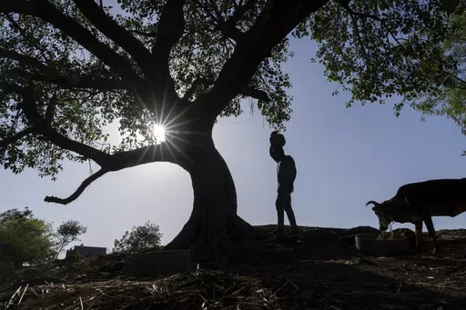 Vaibhav Maske, a farmer, carries water in a vessel at his farm outside Beed, India, Friday, May 3, 2024. Voters in India, from the rain-drenched Himalayas in the north to the sweltering, dry south, are looking for politicians who promise relief, stability and resilience to the wide-ranging and damaging effects of a warming climate. Maske said local and federal governments need to prioritize providing a water source for farming. (AP Photo/Rafiq Maqbool)