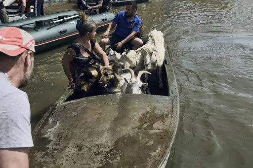 Volunteers evacuate dogs and goats from the flooded city in Kherson, Ukraine, Wednesday, June 7, 2023. Floodwaters from a collapsed dam kept rising in southern Ukraine on Wednesday, forcing hundreds of people to flee their homes in a major emergency operation that brought a dramatic new dimension to the war with Russia, now in its 16th month. (AP Photo/Libkos)