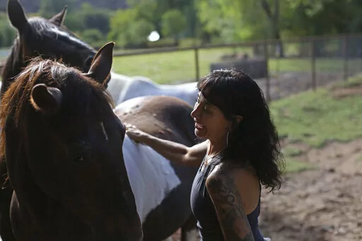 Joanne Cacciatore brushes horse Chemakoh at the Selah Carefarm in Cornville, Ariz., Oct. 4, 2022. Everyone has their favorite here, but horses may be the stars. Cacciatore believes they may even be more powerful than the counselors on site. Many tell of moving moments with a horse pressed their head to a grieving heart or lowered their face to the earth beneath them as they cried. "There's a resonance. There's a symbiosis," Cacciatore says. "It's hard to put to words, but it happens. I witness i