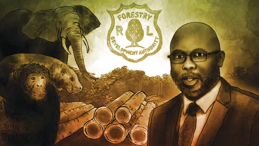 (AP Illustration/Peter Hamlin)