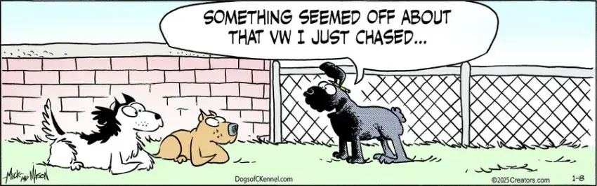 Dogs of C-Kennel for Jan 08, 2025