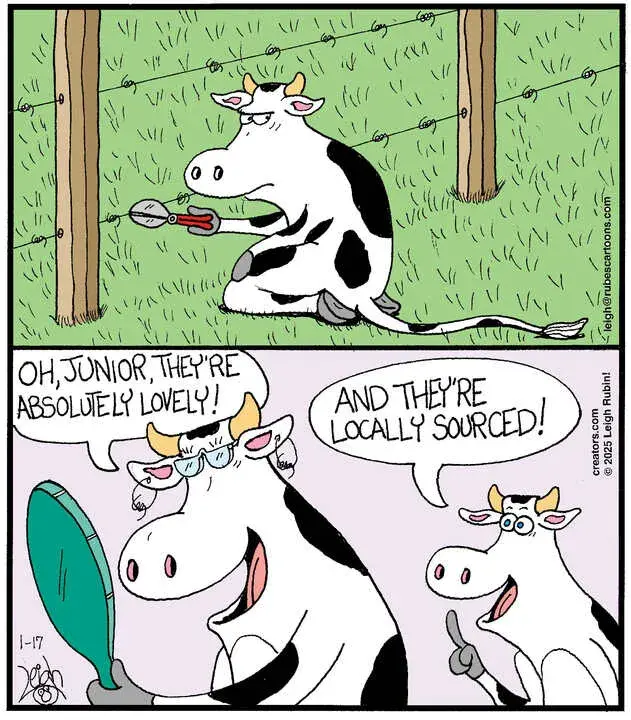 Rubes® for Jan 17, 2025