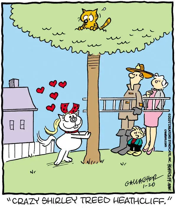 Heathcliff for Jan 20, 2025