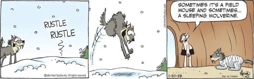 B.C. for Jan 20, 2025