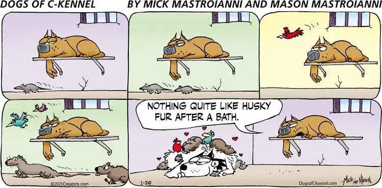 Dogs of C-Kennel for Jan 26, 2025