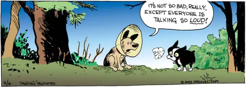 Zack Hill for Feb 06, 2025