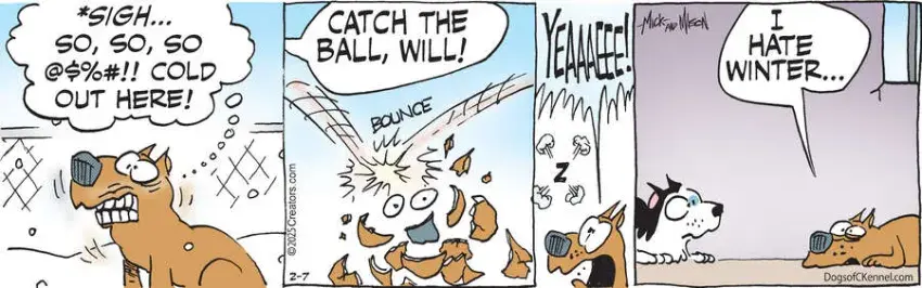 Dogs of C-Kennel for Feb 07, 2025