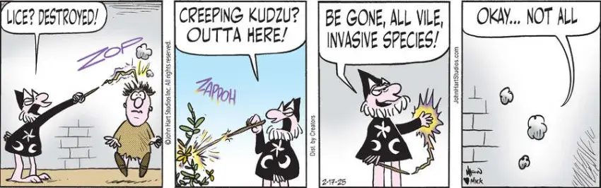 Wizard of Id for Feb 17, 2025