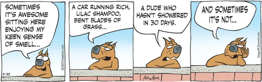 Dogs of C-Kennel for Feb 22, 2025