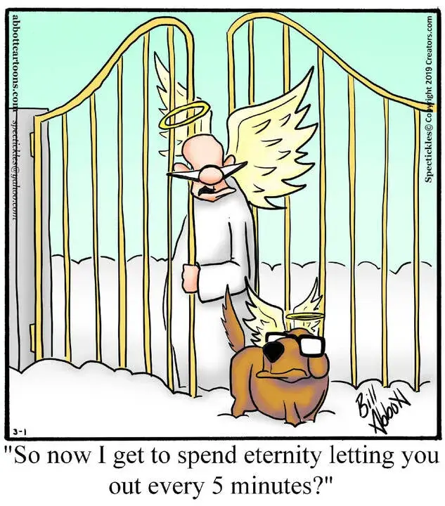 Spectickles for Mar 01, 2025