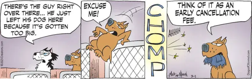 Dogs of C-Kennel for Mar 01, 2025