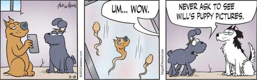 Dogs of C-Kennel for Mar 08, 2025