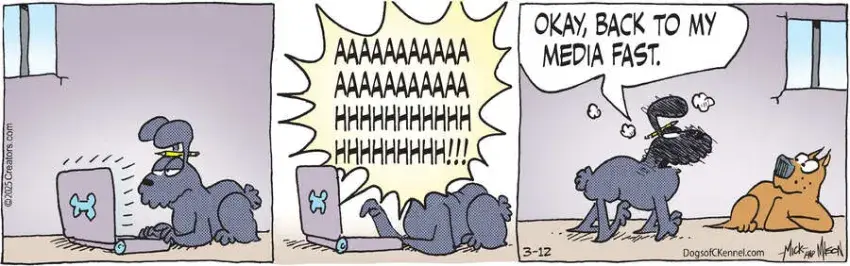 Dogs of C-Kennel for Mar 12, 2025