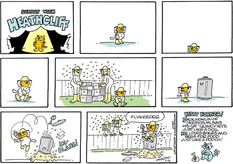 Heathcliff for Mar 16, 2025