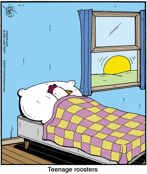 Rubes® for Mar 17, 2025