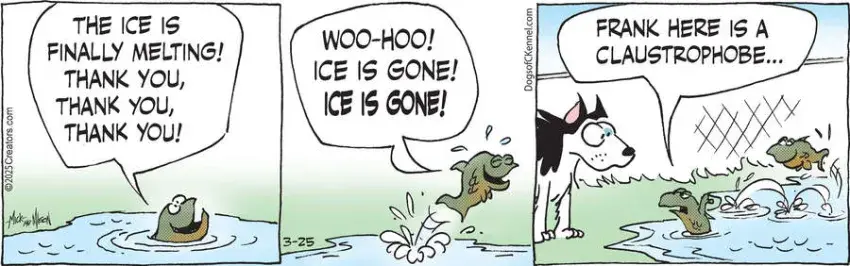 Dogs of C-Kennel for Mar 25, 2025
