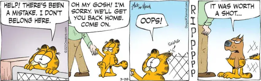 Dogs of C-Kennel for Mar 28, 2025