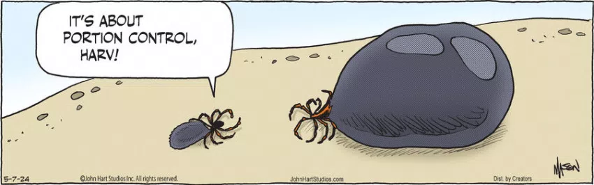 B.C. for May 07, 2024