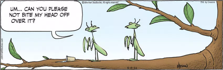 B.C. for May 08, 2024