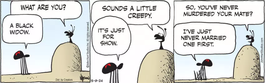 B.C. for May 09, 2024