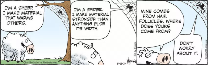 B.C. for May 11, 2024