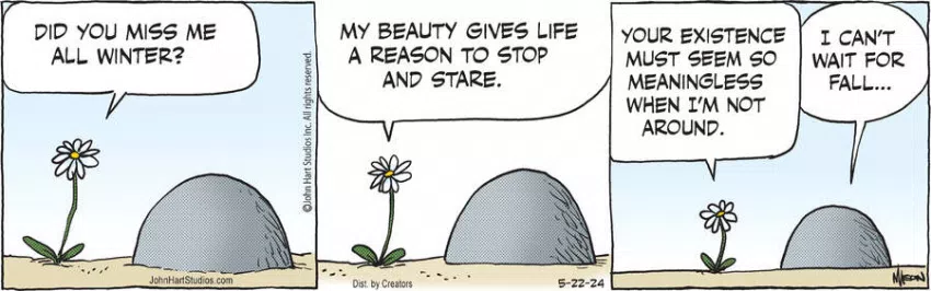 B.C. for May 22, 2024