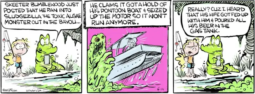 Shrimp and Grits for Jun 14, 2024