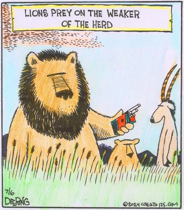 Strange Brew for Jul 06, 2024