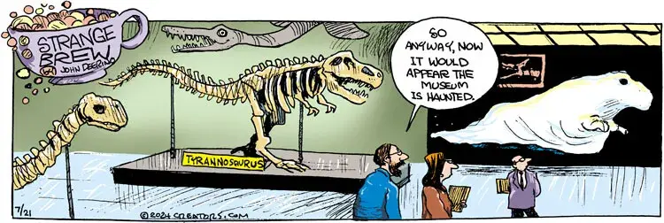 Strange Brew for Jul 21, 2024