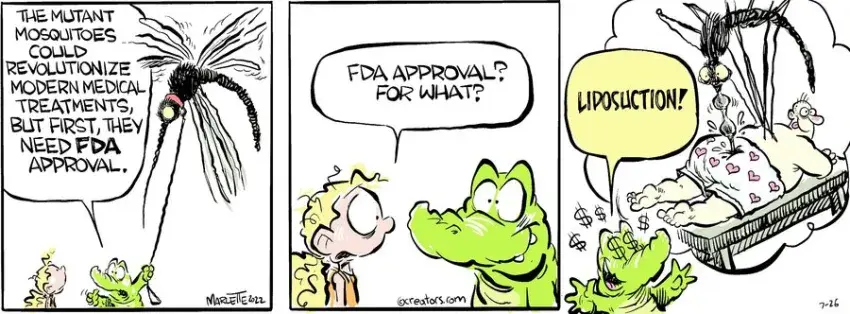 Shrimp and Grits for Jul 26, 2024