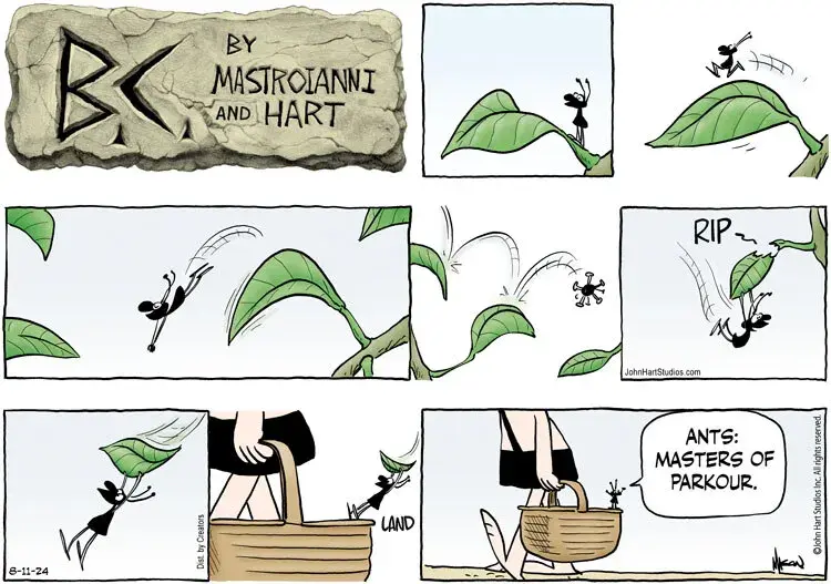 B.C. for Aug 11, 2024