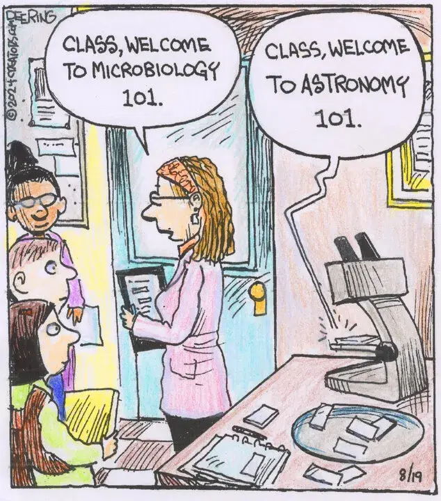 Strange Brew for Aug 19, 2024