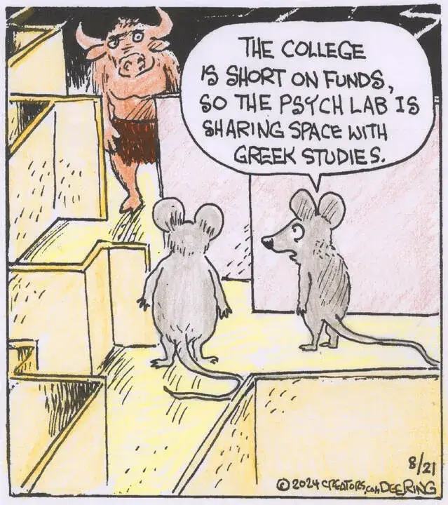 Strange Brew for Aug 21, 2024