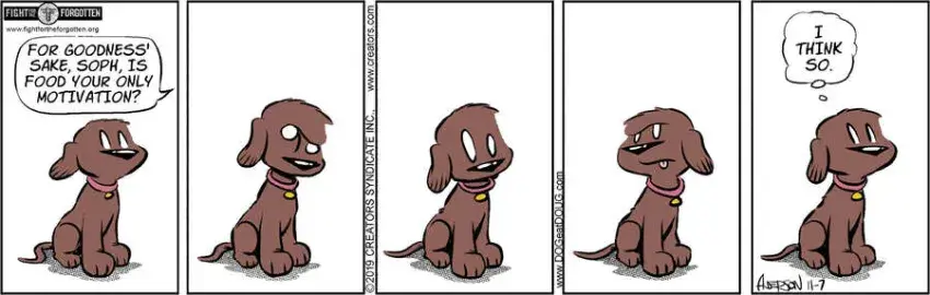 Dog Eat Doug for Nov 07, 2024