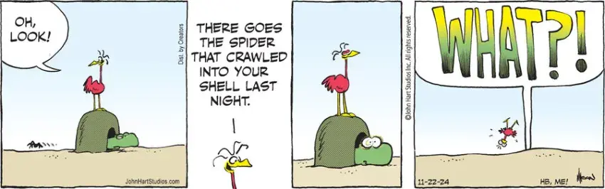 B.C. for Nov 22, 2024