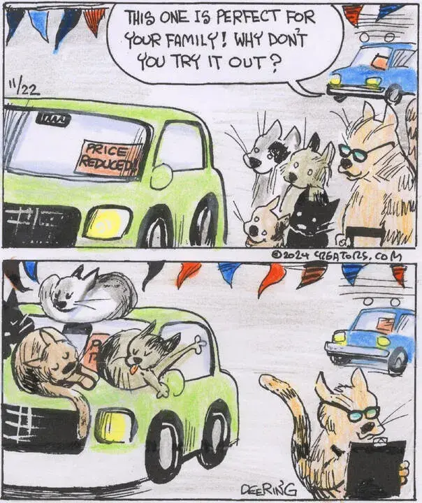 Strange Brew for Nov 22, 2024