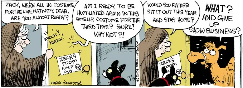 Zack Hill for Dec 18, 2024