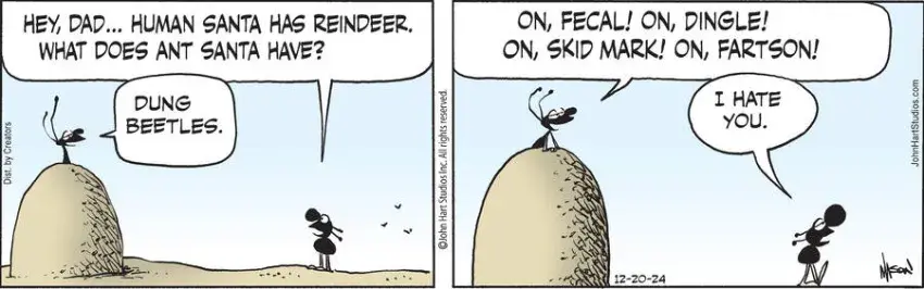 B.C. for Dec 20, 2024