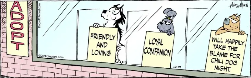 Dogs of C-Kennel for Dec 21, 2024