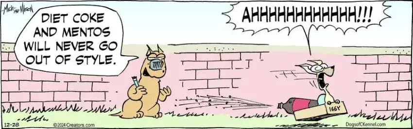 Dogs of C-Kennel for Dec 28, 2024