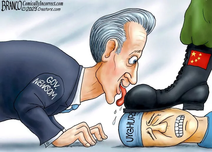 A.F. Branco for Nov 01, 2023