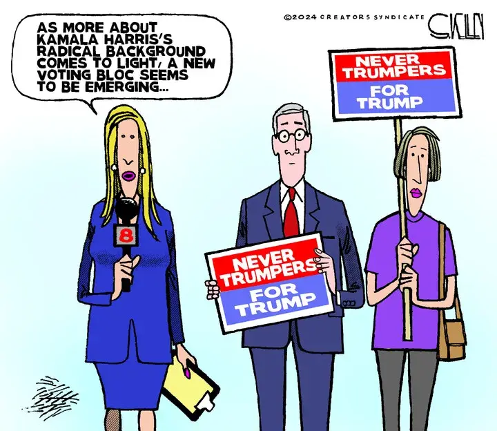Steve Kelley for Aug 05, 2024